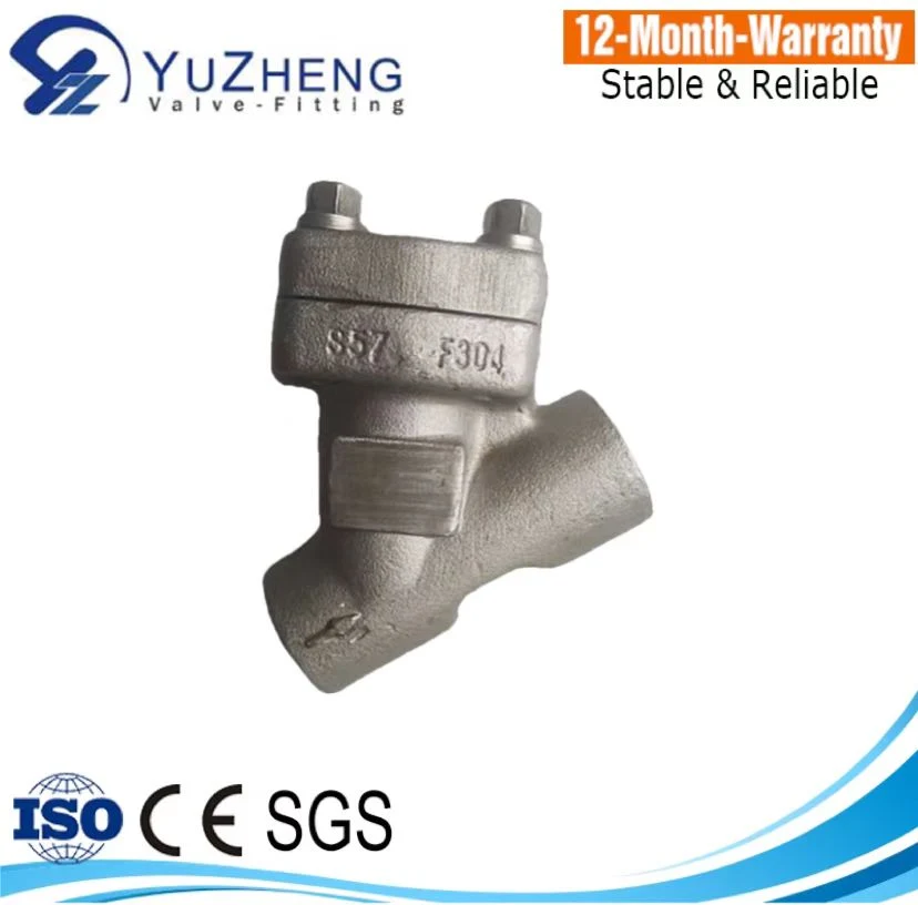 Forged Steel 304/316/A105 Thread Y Strainer